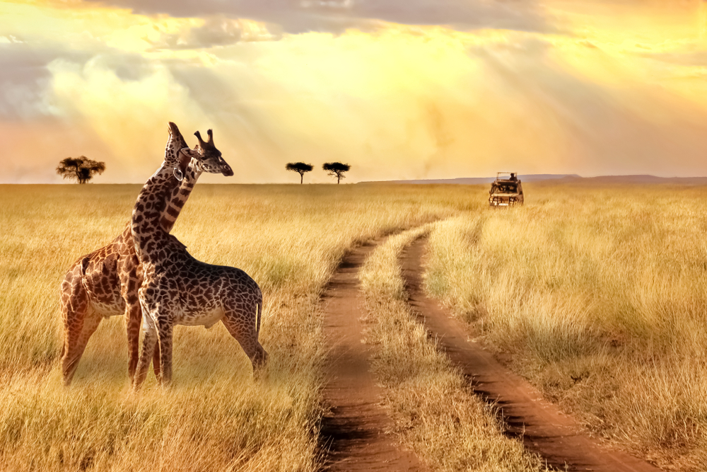 Kenya